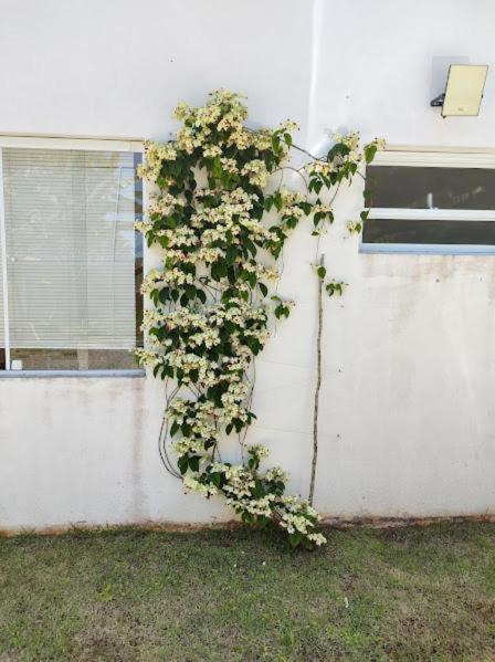 Pousada Recanto Das Margaridas Boiçucanga Exterior foto